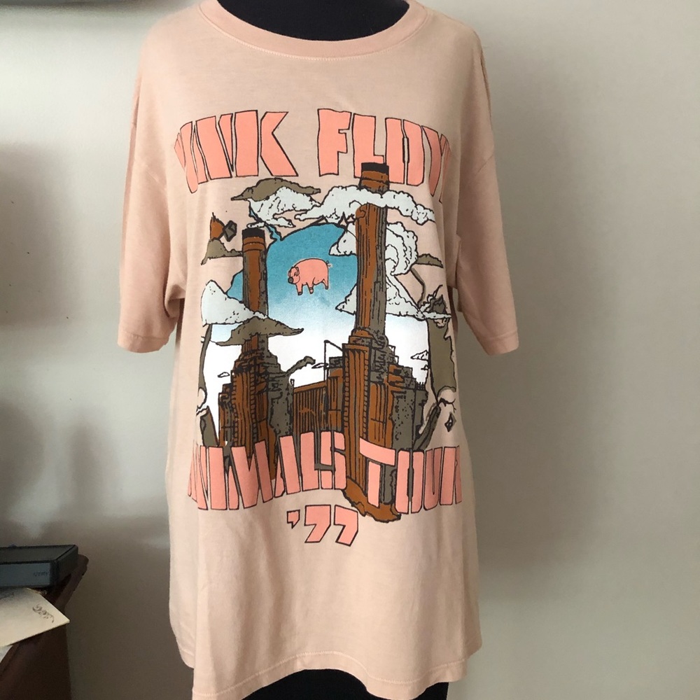Daydreamer Pink Floyd When Pigs Fly